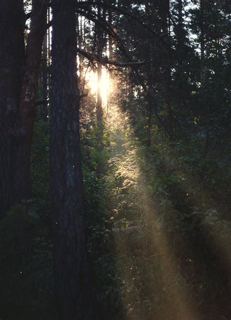 naked outdoors tumblr